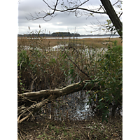 Suffolk King Tide image